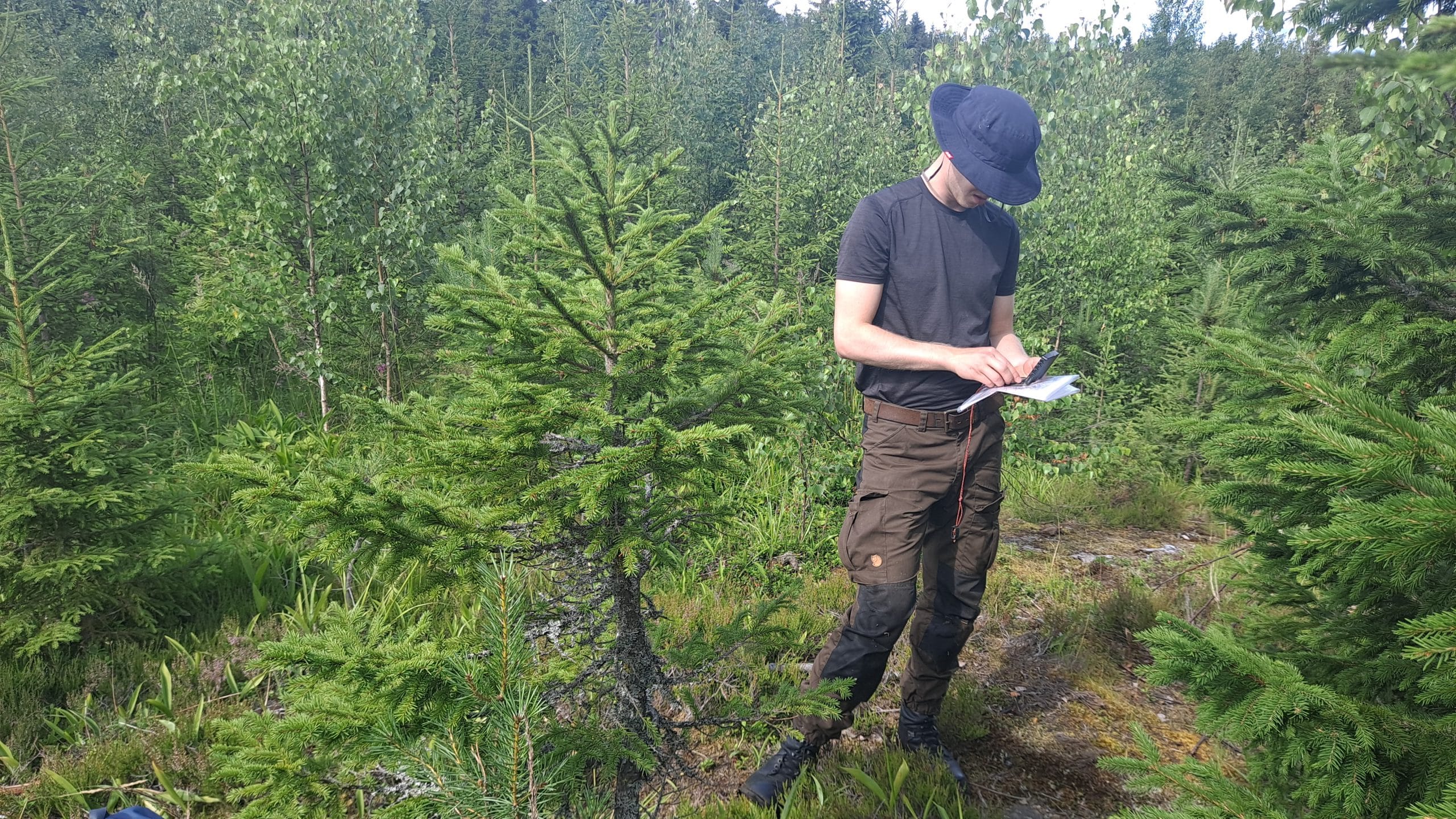 FinnAust Mining Malminetsintä