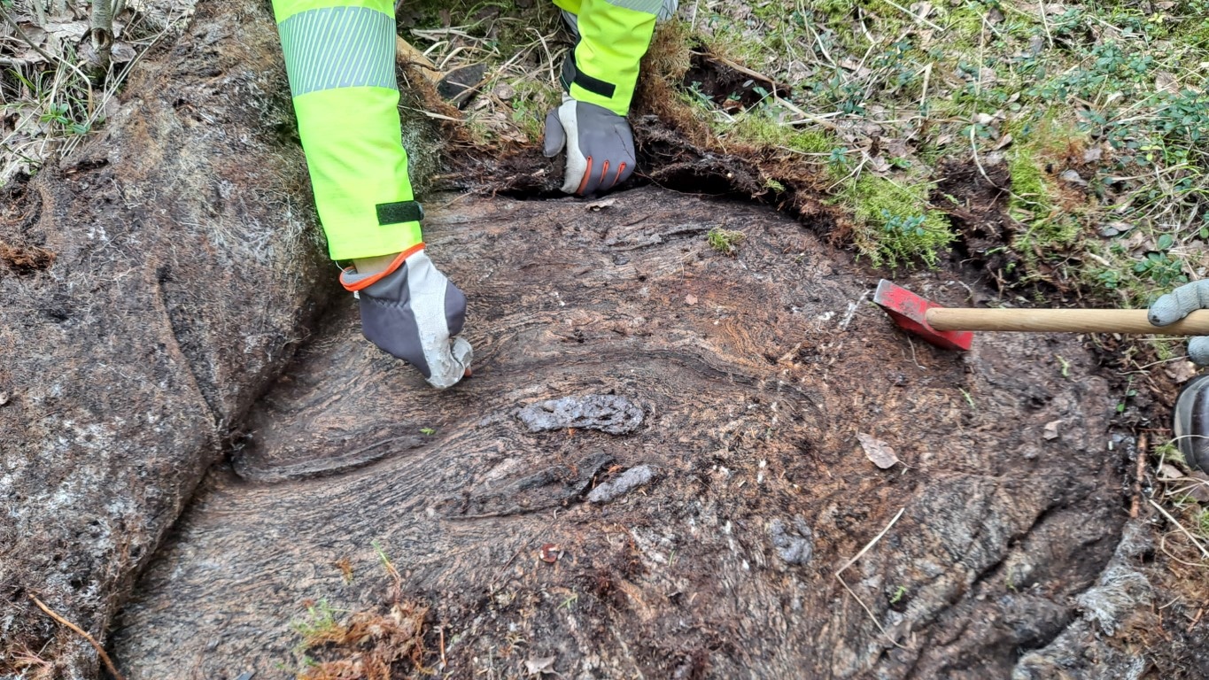 Suomalainen luonto ja vastuullinen tutkimus